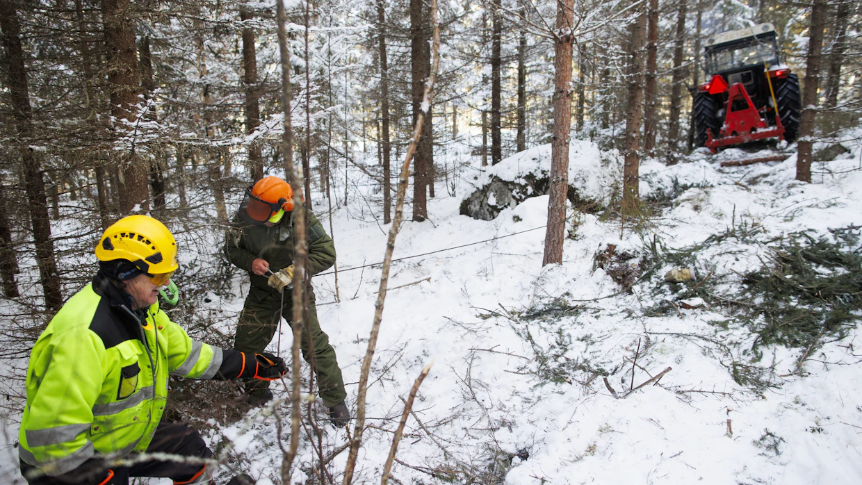 Vaijerin vetosuuntaa joutuu korjaamaan taittopyörällä tuon tuosta, jotta kelkan reki ei ajaudu jumiin puiden väliin.