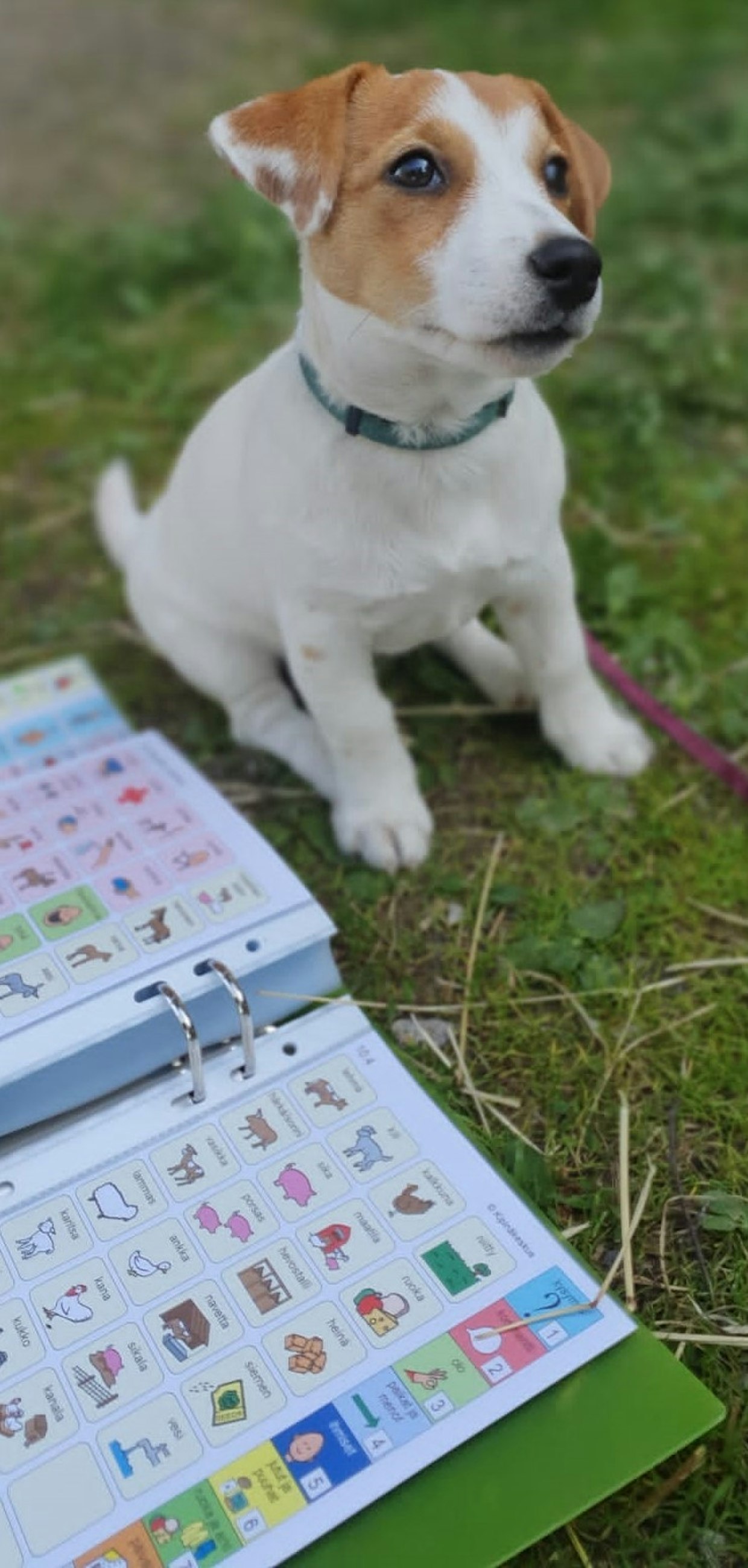 Viljan kanssa kommunikoidaan myös kuvakansion avulla.