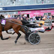 Santtu Raitalan ohjastama Makalu Doc piti Alessandro Gocciadoron Eldorado Jetin takanaan hopeadivisioonan finaalissa.