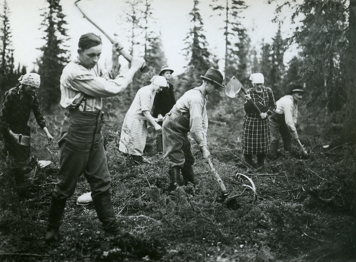 Metsän kylvöä 1920-luvulla.