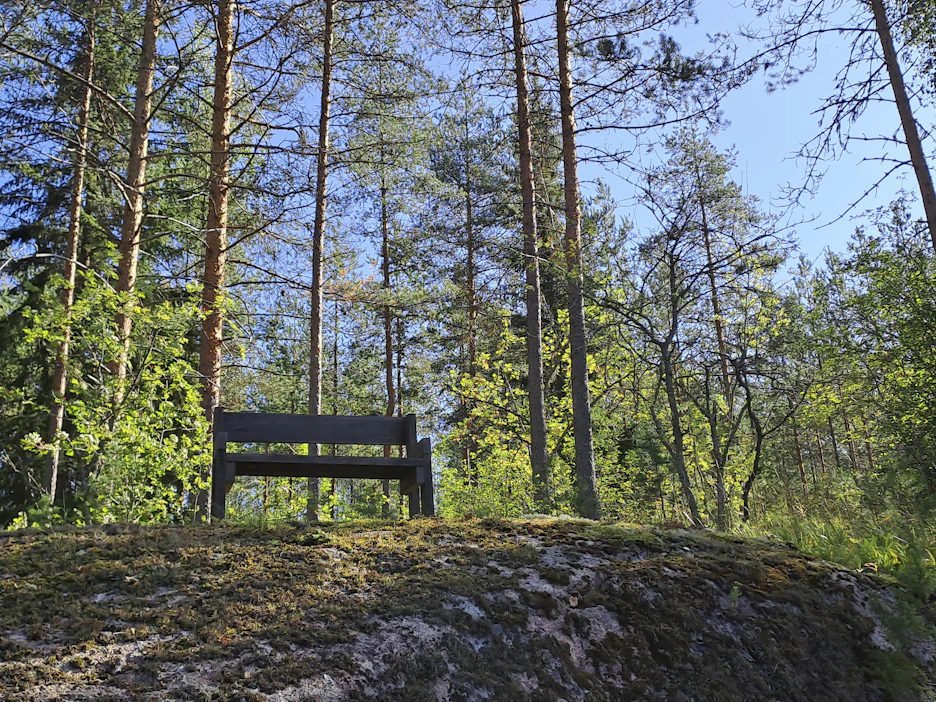 Harmaantuneesta ylijäämäpuutavarasta nikkaroitu penkki sulautuu maastoon. Siinä on mukava istuskella luontoa tarkkailemassa.