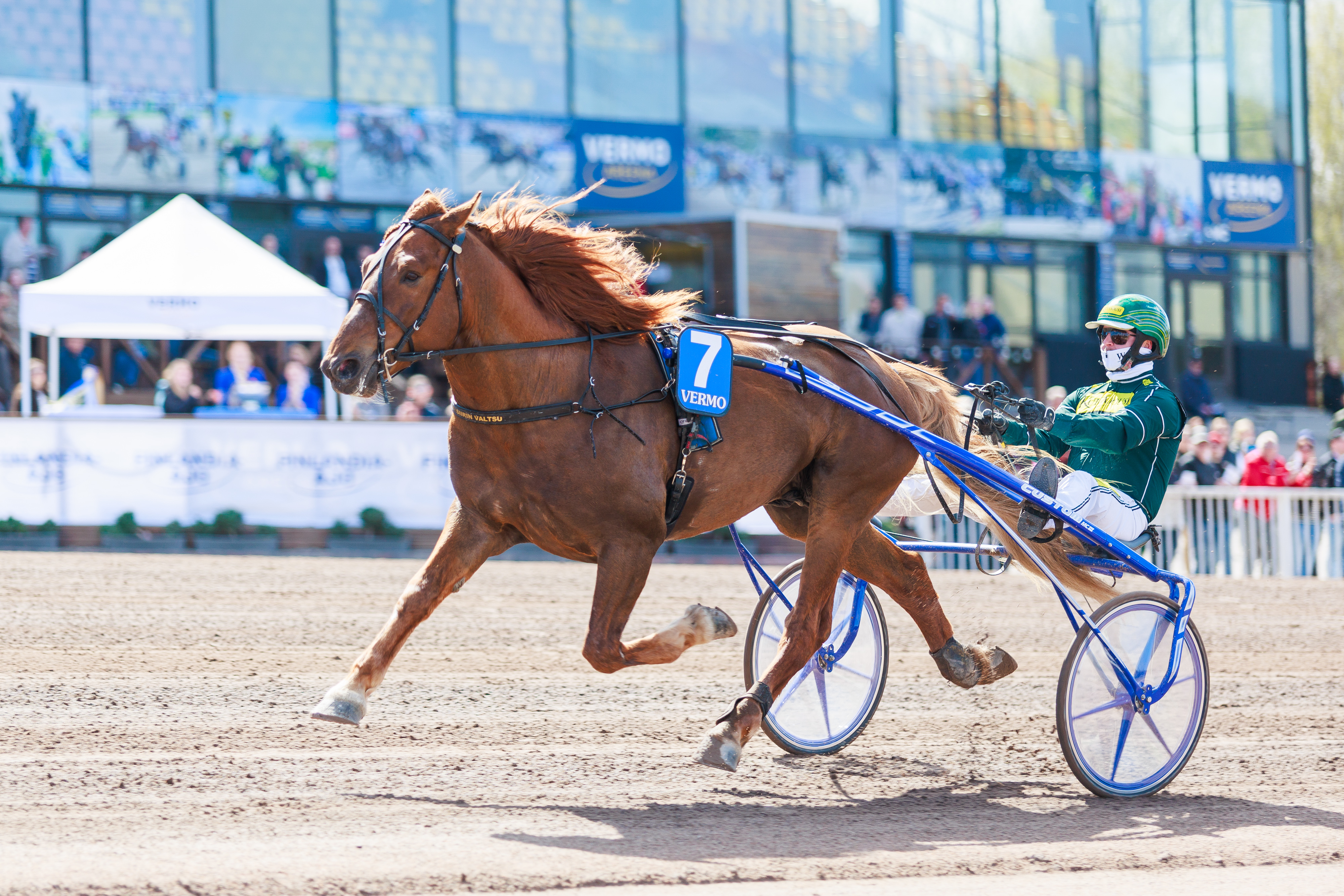 Siirin Valtsu on voittanut tällä kaudella viidestä startista neljä. Ohjissa on tänäänkin Hannu Torvinen.