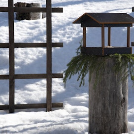 Maamme vaihtelevissa sääolosuhteissa autat lintuja ruokkimalla niitä säännöllisesti koko talven.