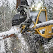 Puukauppa ja puunkorjuu kävivät säästöliekillä viime vuoden lopulla ja tämän vuoden alussa.