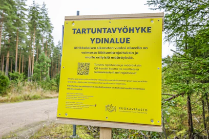 Afrikkalaisen sikaruton tartuntavyöhykkeen ydinaluetta laajennetaan uusien, Lappeenrannassa todettujen tartuntojen takia.