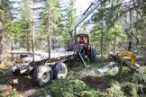 Kun metsänomistajalla on oma kuljetuskalusto, hakkuu ja ajo ovat kokonaan omissa käsissä.