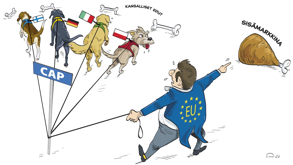 EU-komissio haluaa siirtää valtaa maataloustukien kohdentamisesta jäsenmaille. Lopputulos voi olla myrkkyä sisämarkkinoille.