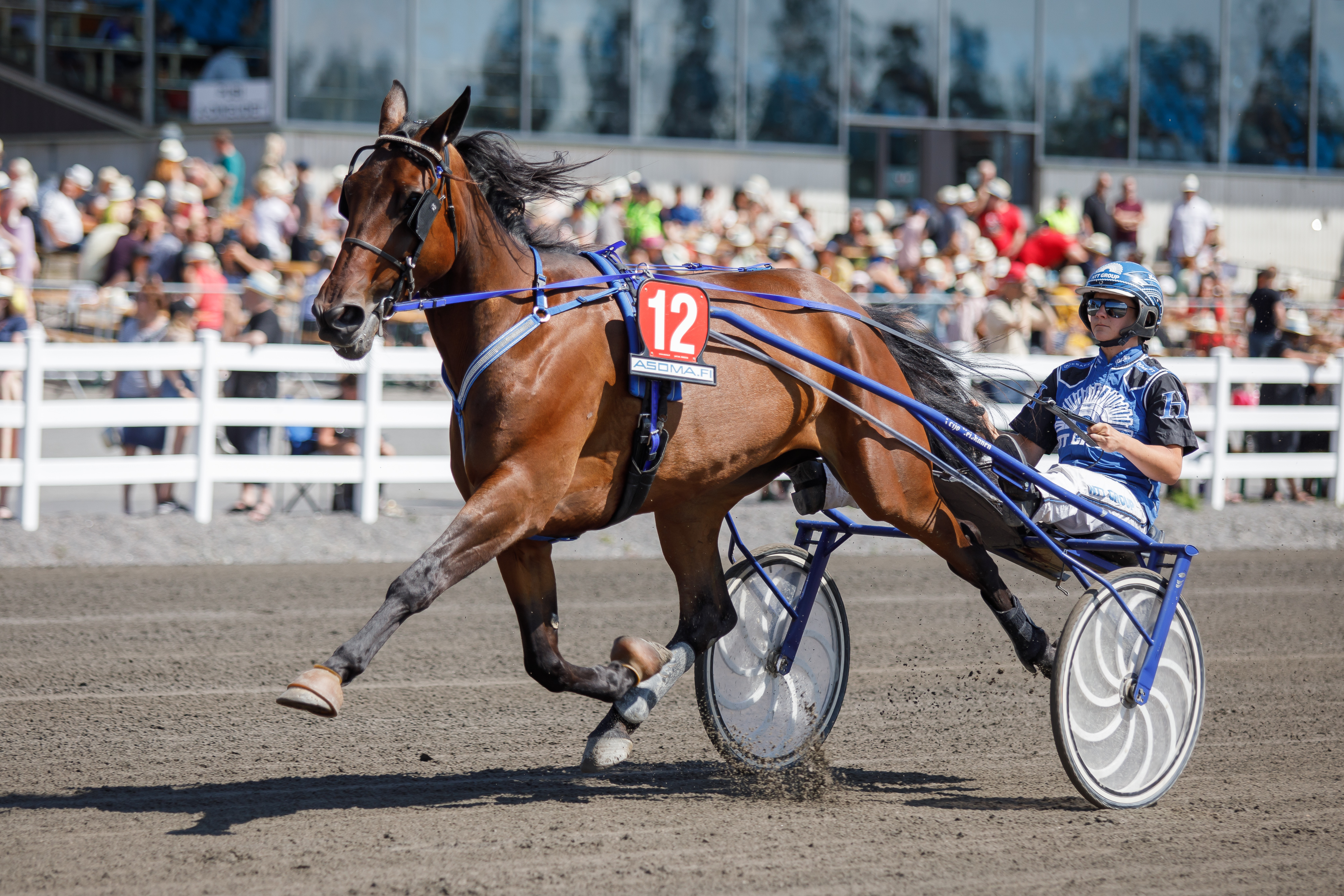 Henna Halmeen Janis Joplin Sisu on vihjerivin varma.