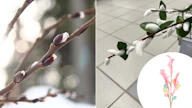 Paju, muovinen oksa Helsingissä Malmin Prismassa ja Tokmannin valmis vitsa.