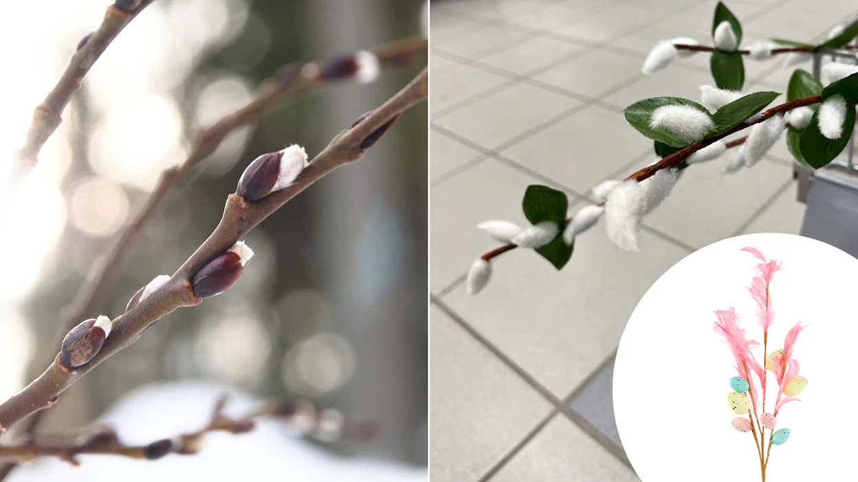 Paju, muovinen oksa Helsingissä Malmin Prismassa ja Tokmannin valmis vitsa.