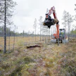 Suon ennallistaminen käynnissä. Kuvituskuva.