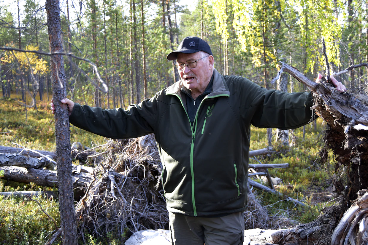 Yli 30 vuotta Inarin yhteismetsän puheenjohtajana toiminut Yrjö Mattila on hiljalleen menettämässä toivoaan puukaupan jatkumisesta.