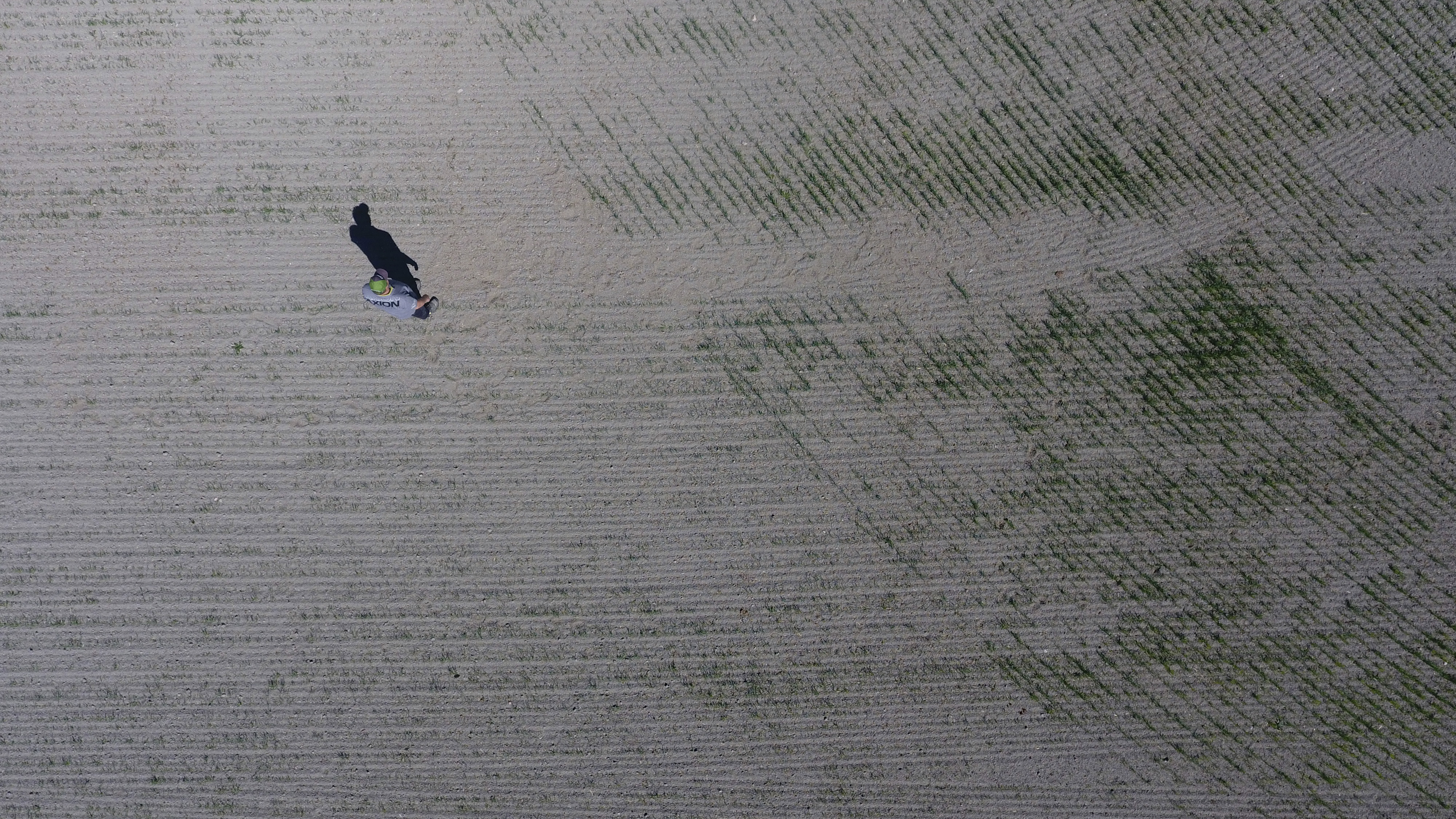 Tämän kasvukauden aikana moni maailmankolkka on kärsinyt kuivuudesta ja kuumuudesta. 