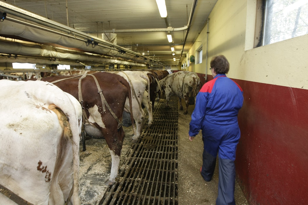 Yhä useampi maatalousyrittäjä hankkii tuloja monesta eri lähteestä.
