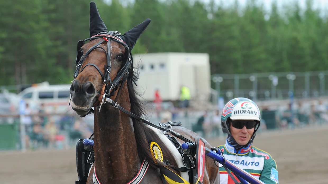 12,9-aikaisen viisivuotiaan tamman Valorous Leaderin emän emä on aikansa menestystamma Bunuela, josta Klemoloiden kaikki nykyiset siitostammat periytyvät.