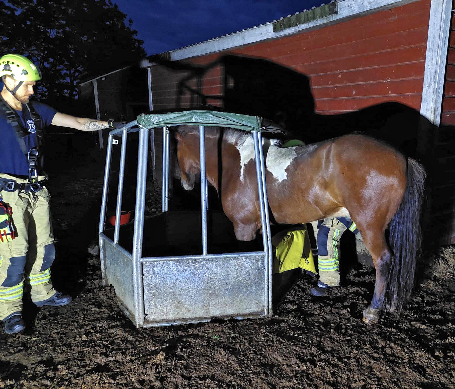 Ruokintahäkin puolien väliin juuttunut islanninhevosruuna Ljufur ei päässyt pinteestään eteen eikä taakse. Järvenpään palomiehet sahasivat yhden puolan irti ja vapauttivat hevosen, joka säästyi tilanteessa vammoitta.