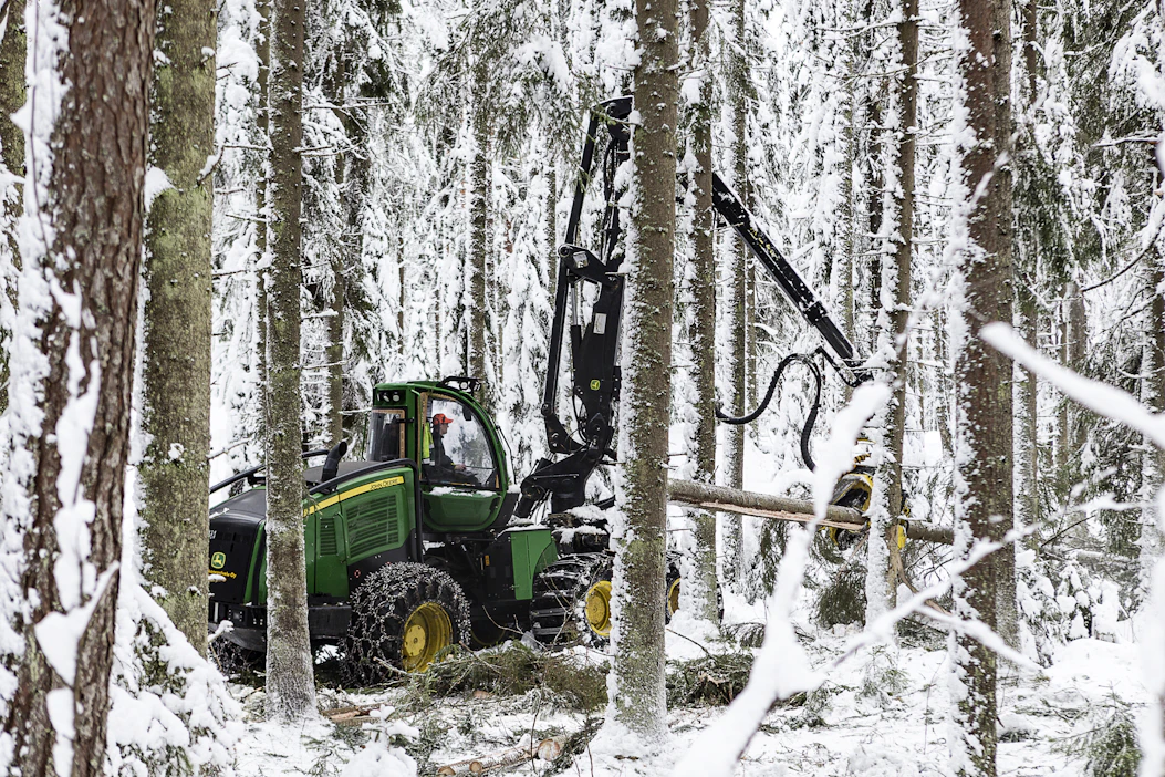 Puiden keskijäreys ei ole uudistushakkuissa pienentynyt vuoden 2015 voimaan tulleen lakiuudistuksen jälkeen, Luonnonvarakeskus on selvittänyt.