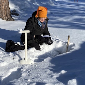 Sirpa Rasmus tarkastelee lumen kiderakennetta. Kuopasta hän on mitannut lumen syvyyden ja tunnustellut lumikerrosten kovuutta. 