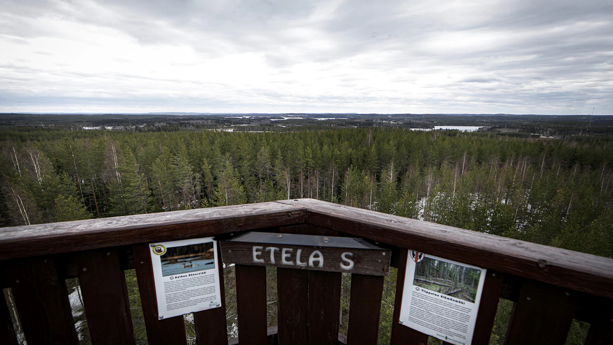 Metsä- ja järvimaisemia Keuruulla. Kuva on otettu näkötornin huipulla Riihon kylässä vuonna 2022.