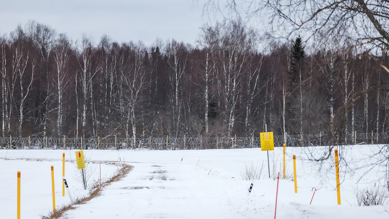 Suomen ja Venäjän rajavyöhykettä Värtsilässä. Metsä aidan takana on Venäjän puolella. Kuvituskuva.