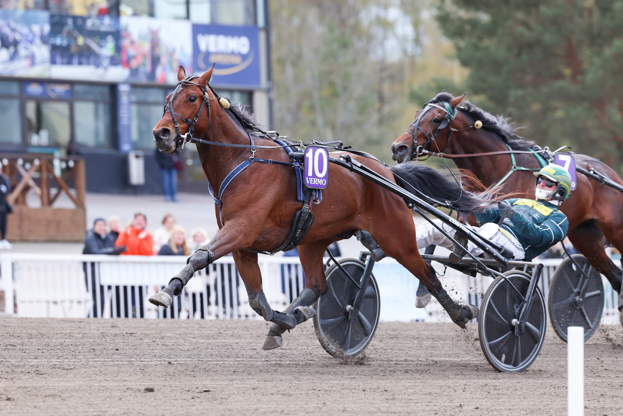 Hannu Torvisen ohjastama Callela Callmeboss lensi Glenn Kosmos memorialin loppusuoraa.