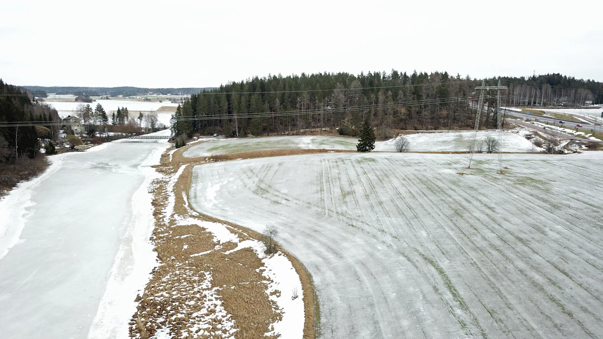 Aurajoen varrella Turun, Liedon ja Kaarinan rajalla pellot muistuttavat luistelukenttiä. Syysvilja sinittelee jääkannen alla.