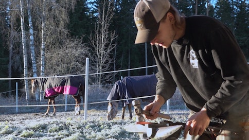 Teemu Pääkkösen mielestä kuumakengityksellä on monia eri hyötyjä hevoselle, mutta myös kengittäjälle itselleen. 