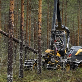 ”Kahden miljoonan kuution lisätarve Stora Enson Suomen tehtaille on mahdollista korvata suomalaisella puulla. Erityisesti harvennuksille on kysyntää eri puolilla Suomea”, yhtiön ostojohtaja Sami Honkanen sanoo.
