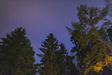 Maatalouskonealalla tuskin vältytään lomautuksilta tänä vuonna. 