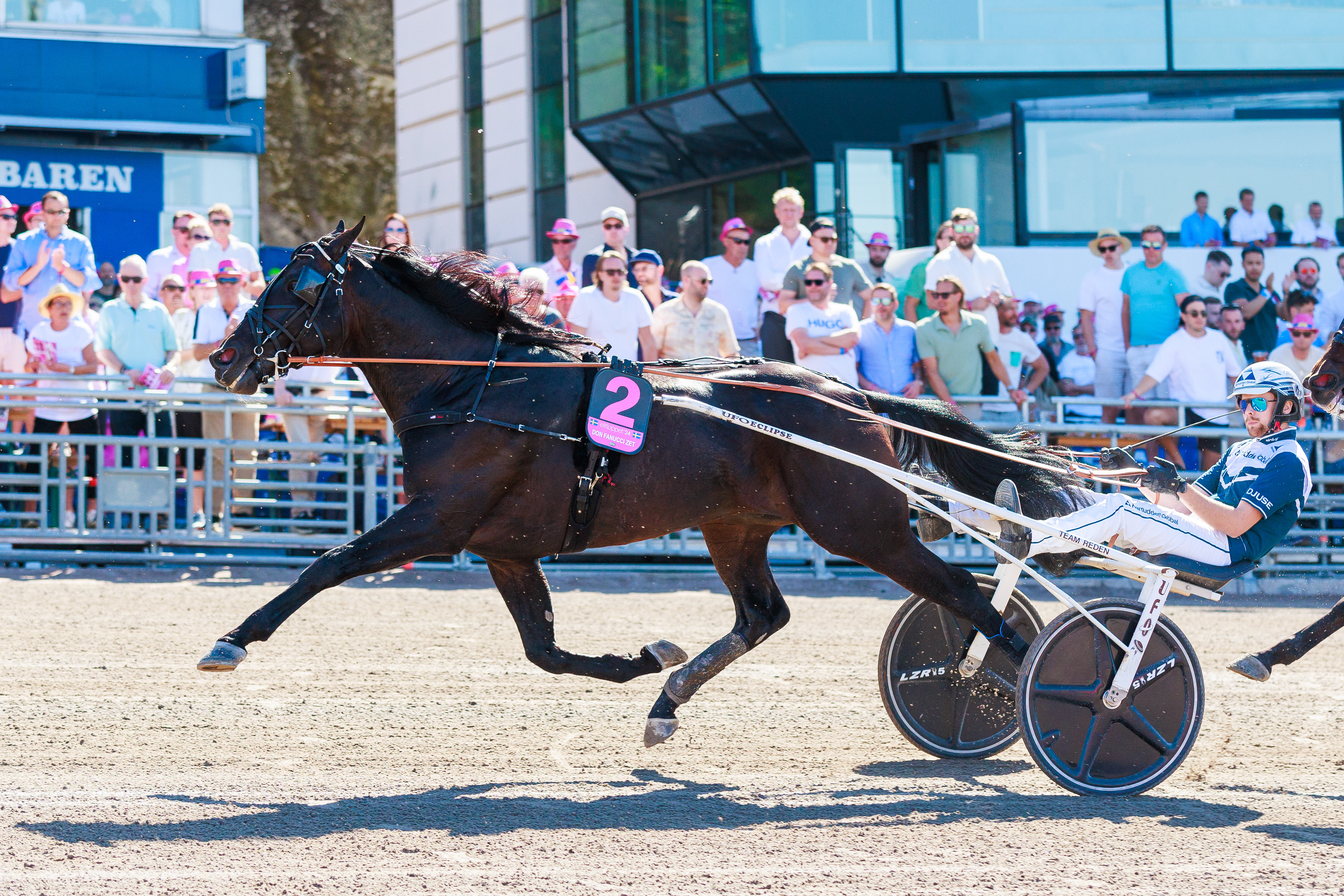 Don Fanucci Zet oli Kalmarin päätähti. Kuvassa ori osallistuu Elitloppetiin toukokuussa.