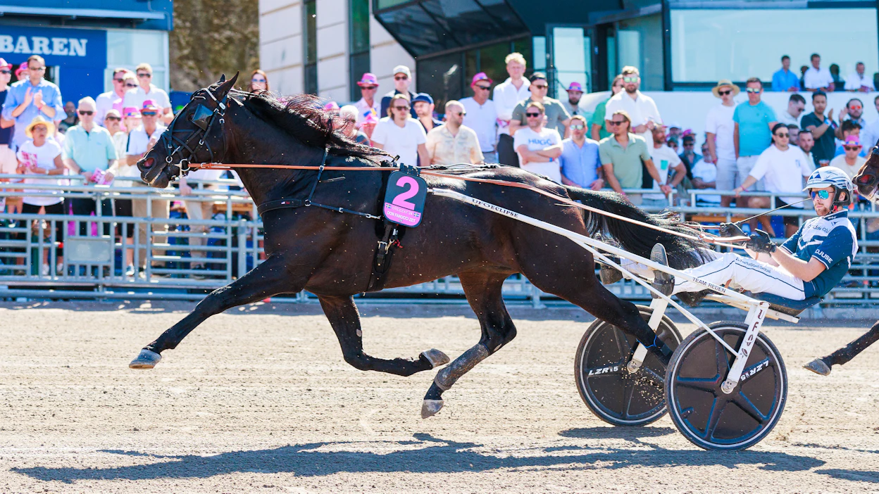 Don Fanucci Zet oli Kalmarin päätähti. Kuvassa ori osallistuu Elitloppetiin toukokuussa.