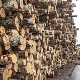 Puukaupassa kaikkien puutavaralajien kysyntä energiapuuta myöten on erinomainen. Koivutukin hinnannousu vuoden aikana on ollut Päijät-Hämeessä historiallisen suuri, Metsänhoitoyhdistys Päijät-Hämeen tiedote kertoo.