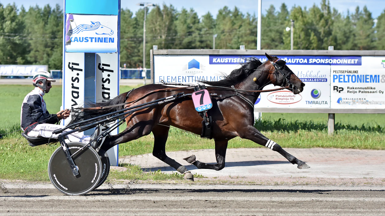 Kurri Jari Bokon edellinen startti oli viime heinäkuussa Kaustisella, jossa ori voitti Festivaali-ajon korvia pyöritellen.