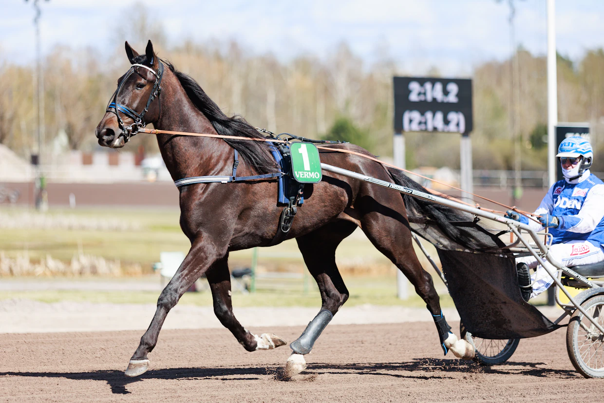 Petri Salmela vieraili Like Magic Sisun kanssa Vermon Finlandia-raveissa.