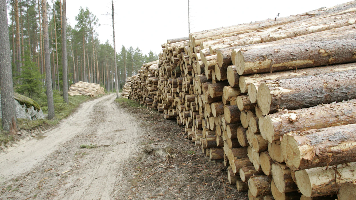 Metka-rahoitus käyttää ohjeistuksena päivitettyä Metsätehon metsätienormistoa.