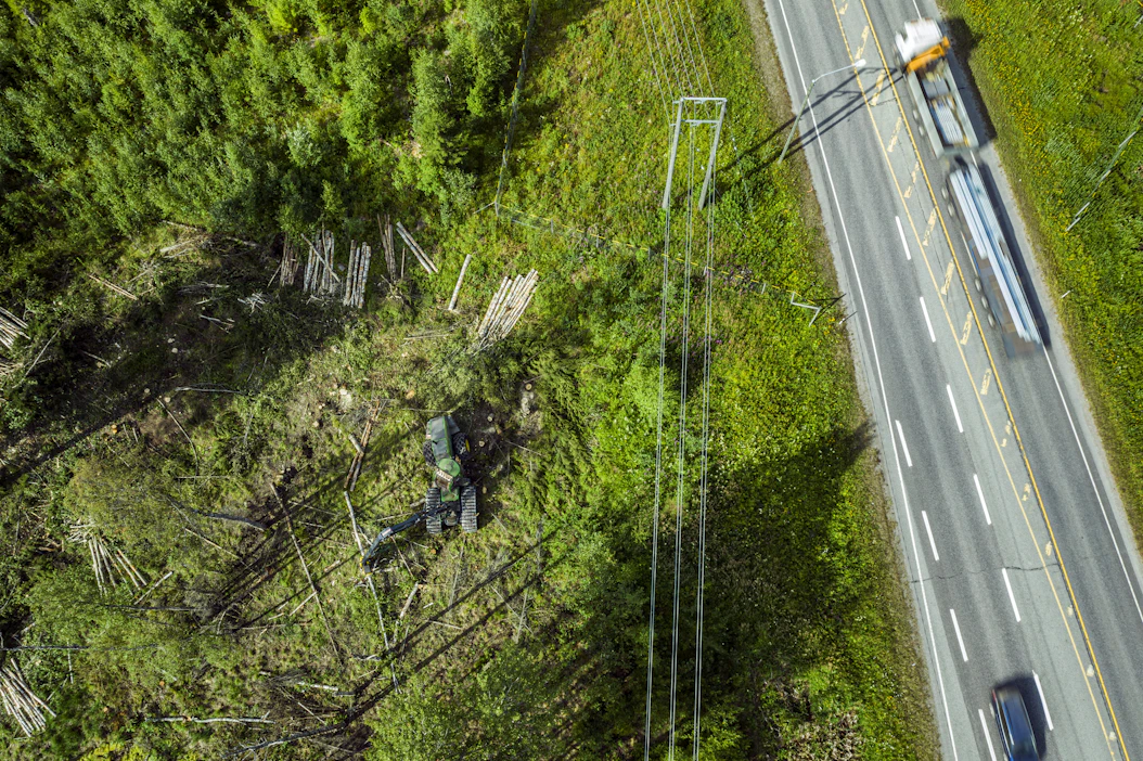 Vaikka metsät sitovat edelleen suuria määriä hiiltä, koko maankäyttösektorin hiilinielu on supistunut rajusti.