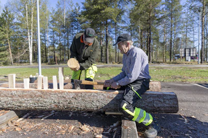 Säröslaudan teko vaatii malttia. Martti Koivumäki näyttää, miten puu halkaistaan kirveen ja puukiilojen avulla. Restauroinnin opiskelija Harri Nieminen käyttää nuijaa.