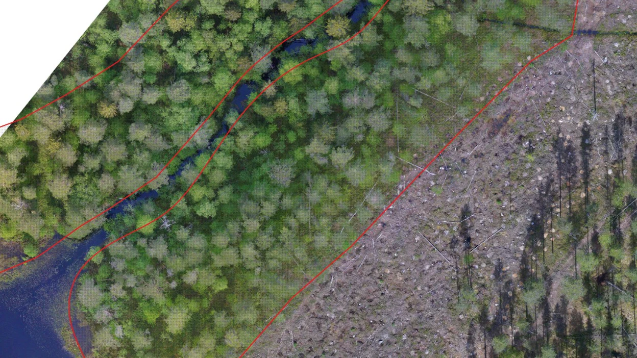 Metsäkeskus tarkistaa dronekuvausten avulla muun muassa, miten metsälain elinympäristöt säilyvät. Esimerkkikuvassa näkyy metsälain suojelema puroelinympäristö, jonka kaakkoispuolella on hakattu metsää.