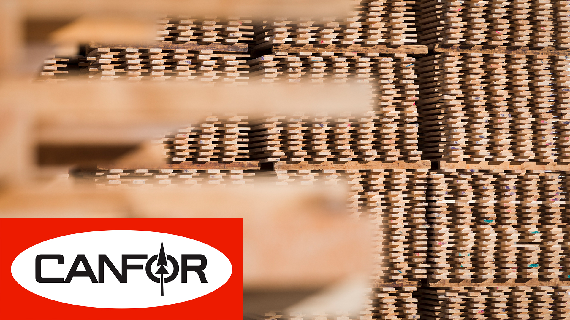 Kanadalaisen Canforin mukaan Brittiläisen Kolumbian hakkuumäärät ovat romahtaneet 1960-luvun tasolle. Tilanne vaikeuttaa sahojen toimintaa. 