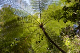 EU:n metsäkatoasetus tähtää kansanedustaja Hanna Holopaisen (vihr.) mielestä ensisijaisesti trooppisten sademetsien, kuten Amazonin, suojeluun. 