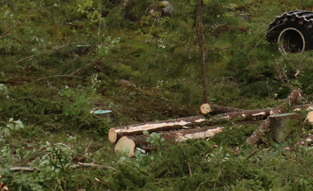 ”Suomessa ongelmana on tällä hetkellä koneenkuljettajien vähäinen tarjonta suhteessa puunkorjuumäärien kasvuun”, kirjoittaa Koneyrittäjät ry:n varatoimitusjohtaja Simo Jaakkola.