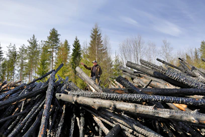 Esko Nivalan kevättalven uurastus metsässä oli mennä hukkaan, kun tien varteen kasatut paloalueen puut syttyivät uuden palon seurauksena.