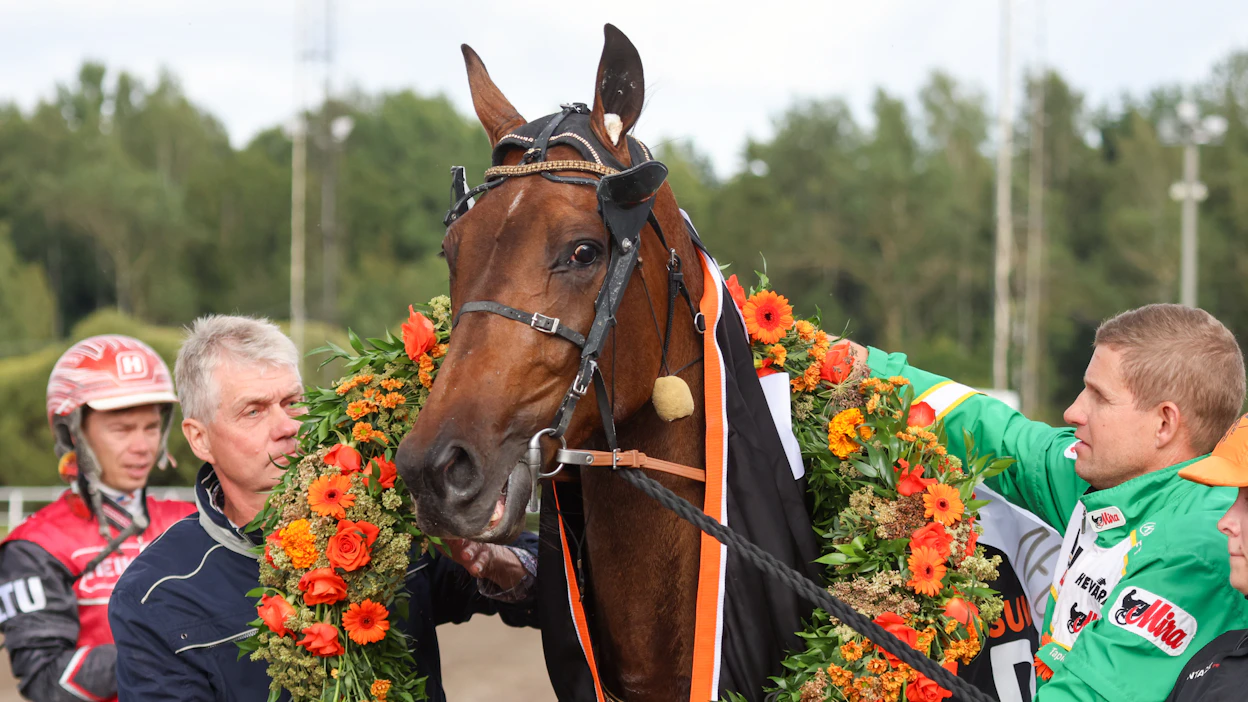 Isto ja Tapio Mäki-Tulokas seppelöivät Romanov Comeryn Derbyn kunniaksi. Taustalla Santtu Raitala, jolle derbyvoitto oli toinen peräkkäinen.