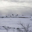 Kuvituskuva. Kuvan henkilöt ja porot eivät liity juttuun.