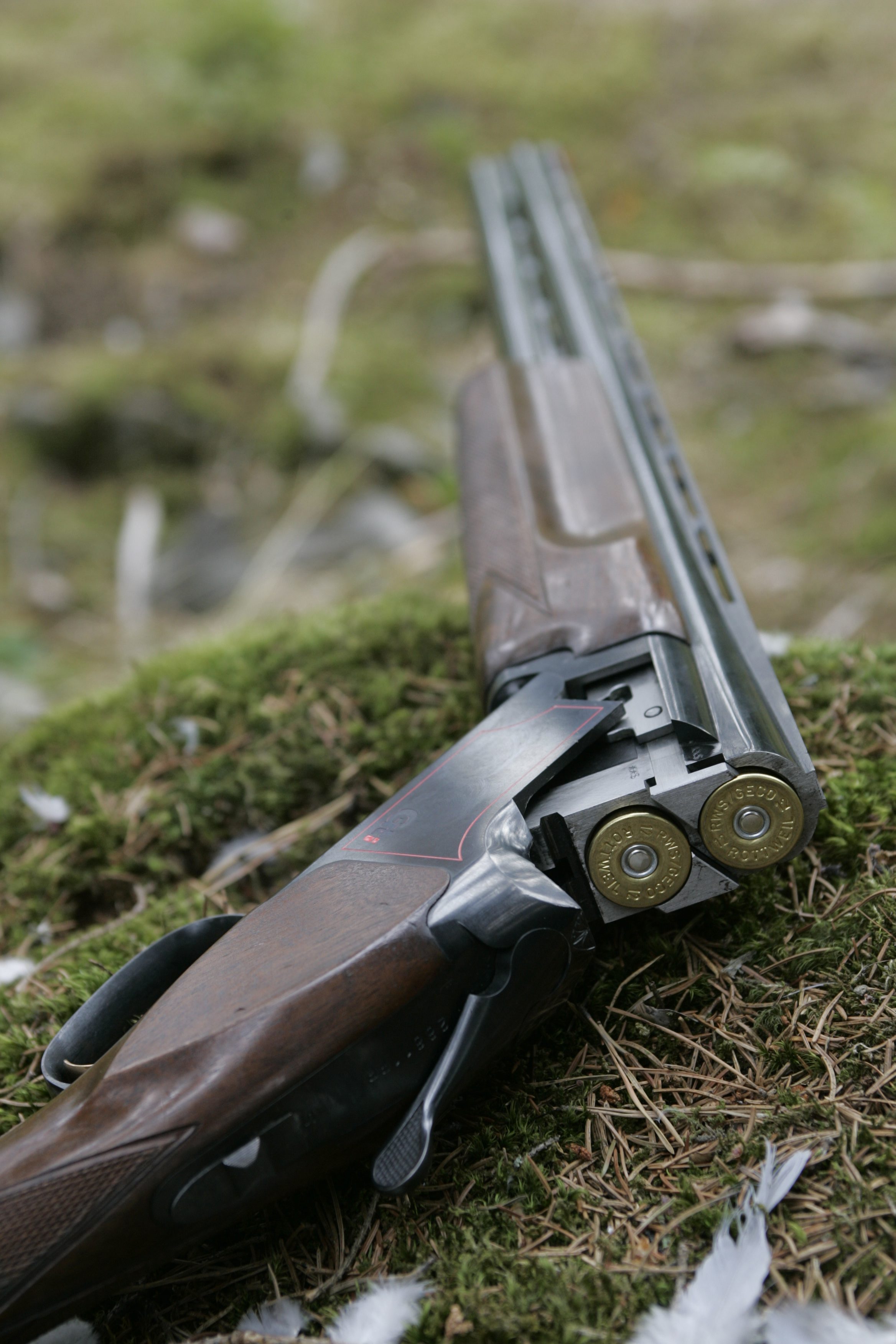 Miehen haulikko tuomittiin valtiolle.