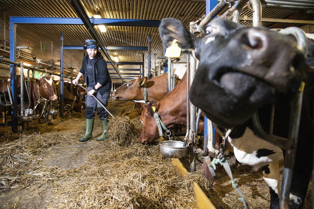 MT:n saamien tietojen mukaan lomituslainsäädännön kokonaisuudistuksen lausuntokierroksella sidosryhmien näkemykset poikkesivat merkittävästi toisistaan.