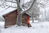 Heikki Naukkarinen kuvaa usein työn ohessa erikoisia puita, kiviä ja muita luonnonilmiöitä. 
