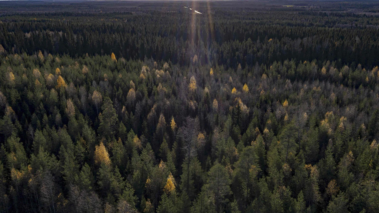 IPCC muistuttaa ilmaston lämpenemisen uhkaavan sekä ihmisen että luonnon hyvinvointia. LEHTIKUVA/AFP.