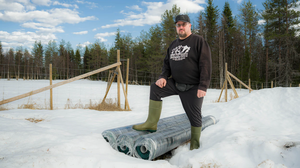Timo Pätsi voitti Kallioluoman paliskunnan oikeudessa ja pitää juttua ennakkotapauksena. Paliskunta rakensi aidan mansikkamaan ympärille kesäkuussa 2024.