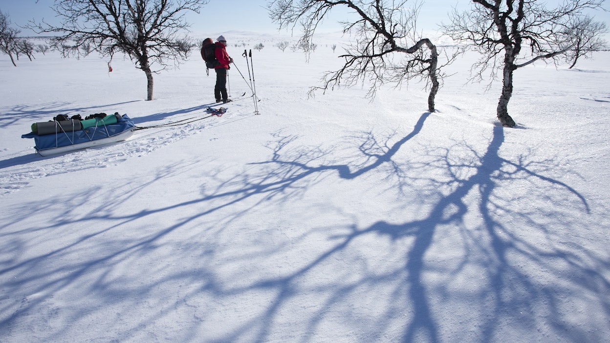 Ajoittain paistava aurinko tarjoaa ulkoilijoille nyt hienoja talvipäiviä.